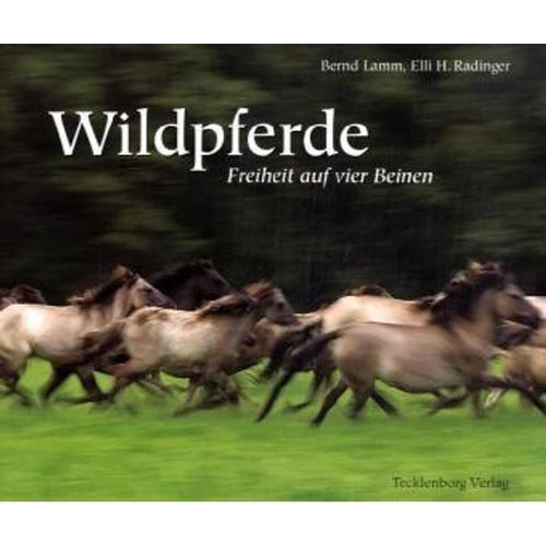 Dülmener Wildpferde - Bernd Lamm, Gebunden