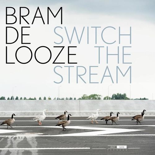 Switch The Stream (Vinyl) - Bram De Looze, Chris Maene. (LP)