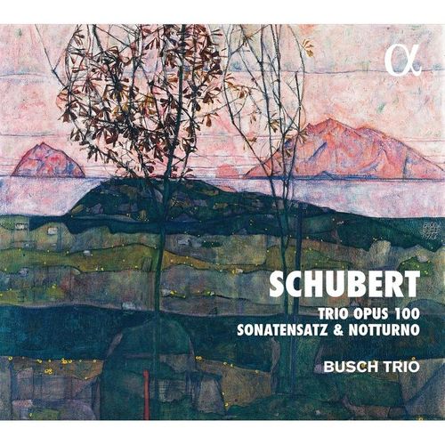 Trio Opus 100/Sonatensatz/Notturno - Busch Trio. (CD)