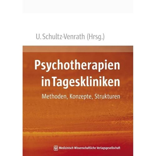 Psychotherapien in Tageskliniken, Kartoniert (TB)