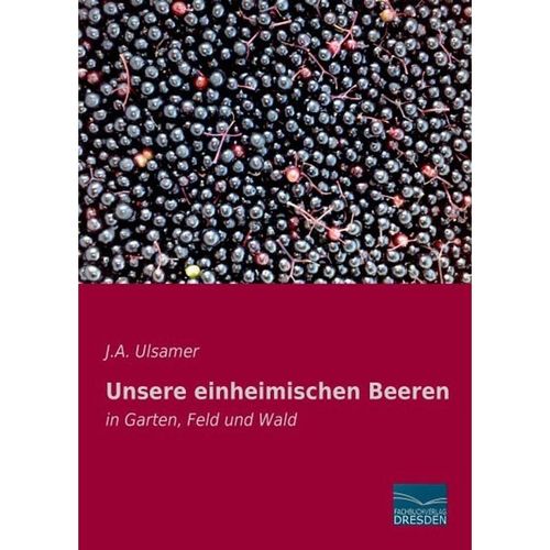 Unsere einheimischen Beeren - J. A. Ulsamer, Kartoniert (TB)