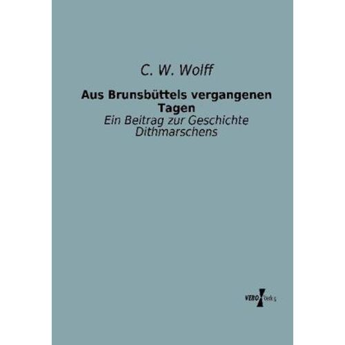 Aus Brunsbüttels vergangenen Tagen - C. W. Wolff, Kartoniert (TB)