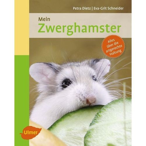 Mein Zwerghamster zu Hause - Petra Dietz, Eva-Grit Schneider, Kartoniert (TB)