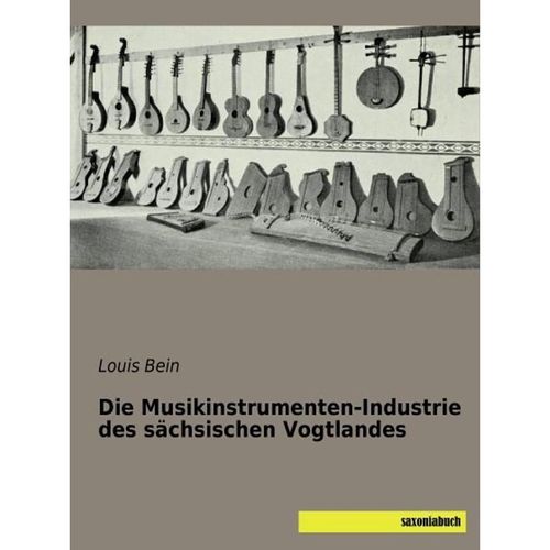 Die Musikinstrumenten-Industrie des sächsischen Vogtlandes - Louis Bein, Kartoniert (TB)