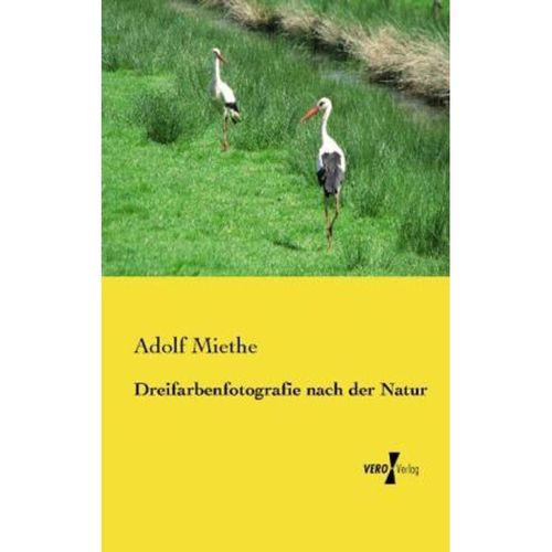 Dreifarbenfotografie nach der Natur - Adolf Miethe, Kartoniert (TB)