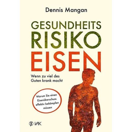 Gesundheitsrisiko Eisen - Dennis Mangan, Kartoniert (TB)