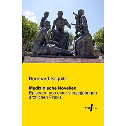 Medizinische Novellen - Bernhard Segnitz, Kartoniert (TB)