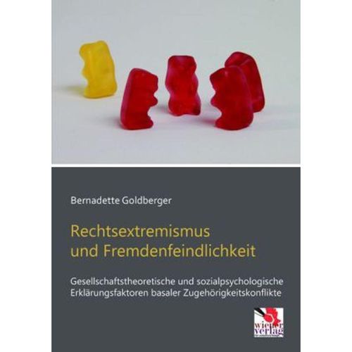 Rechtsextremismus und Fremdenfeindlichkeit - Bernadette Goldberger, Kartoniert (TB)