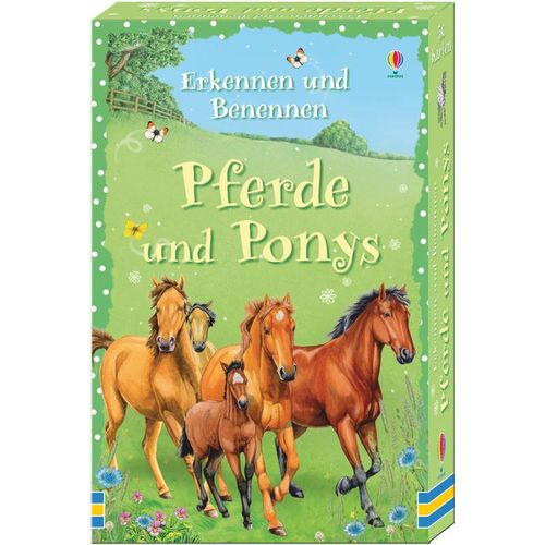 Erkennen und Benennen – Pferde und Ponys