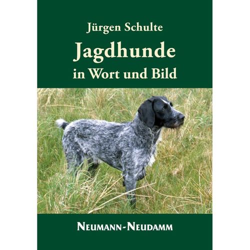 Jagdhunde in Wort und Bild - Jürgen Schulte, Gebunden