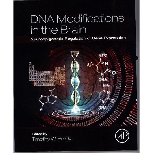 DNA Modifications in the Brain - Timothy Bredy, Kartoniert (TB)