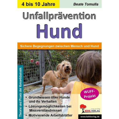 Unfallprävention Hund - Beate Tomulla, Kartoniert (TB)