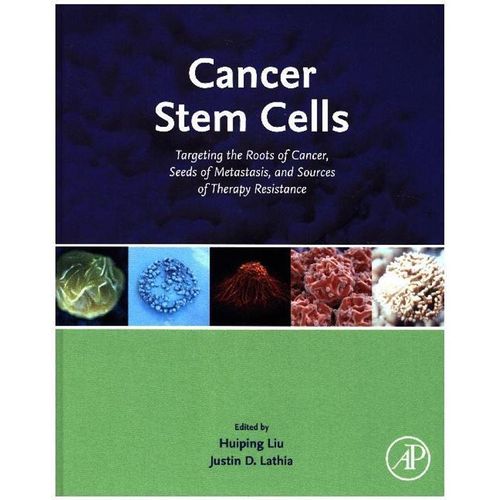 Cancer Stem Cells, Gebunden