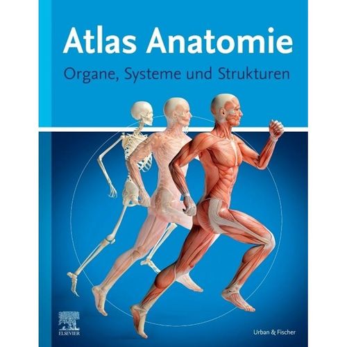 Atlas Anatomie, Gebunden