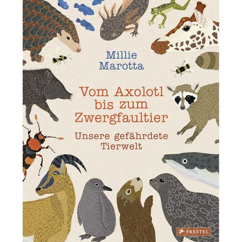 Vom Axolotl zum Zwergfaultier - Millie Marotta, Gebunden