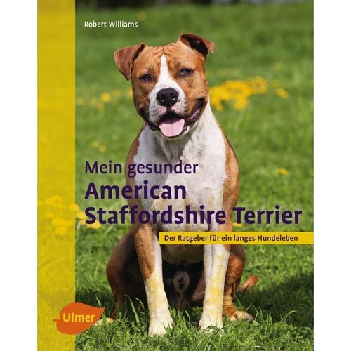 Mein gesunder American Staffordshire Terrier - Robert Williams, Gebunden