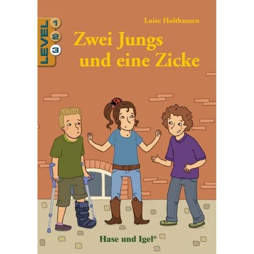 Zwei Jungs und eine Zicke / Zwei Jungs und eine Zicke / Level 3 - Luise Holthausen, Kartoniert (TB)