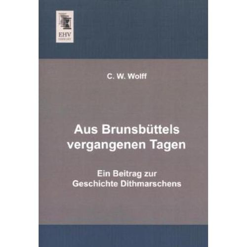 Aus Brunsbüttels vergangenen Tagen - C. W. Wolff, Kartoniert (TB)
