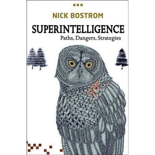 Superintelligence - Nick Bostrom, Gebunden