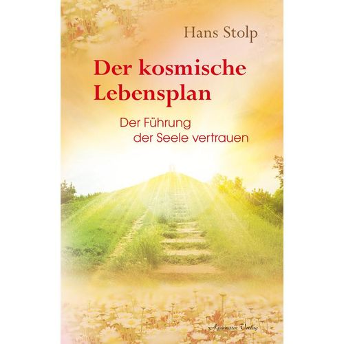 Der kosmische Lebensplan - Hans Stolp, Kartoniert (TB)