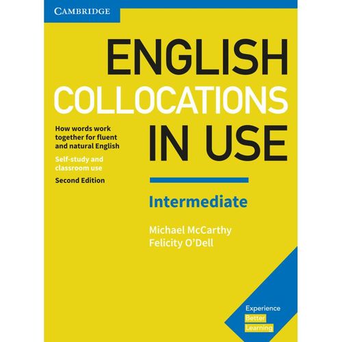 English Collocations in Use / English Collocations in Use, Intermediate - Michael McCarthy, Felicity O'Dell, Kartoniert (TB)