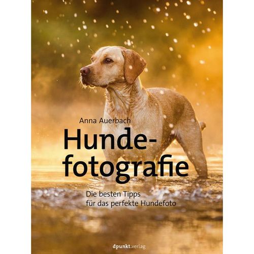 Hundefotografie - Anna Auerbach, Gebunden