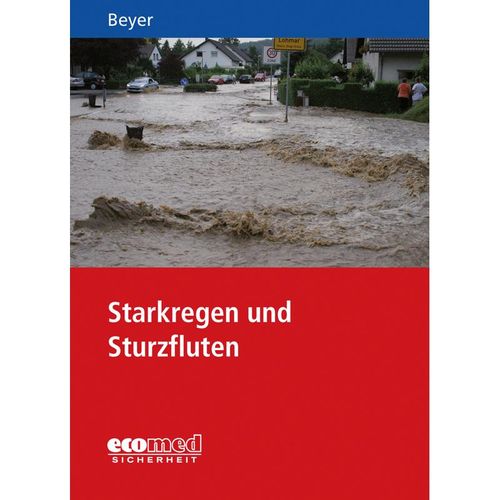 Starkregen und Sturzfluten - Ralf Beyer, Kartoniert (TB)