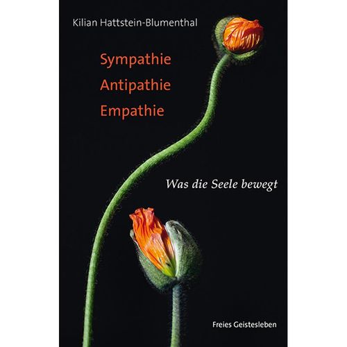 Sympathie - Antipathie - Empathie - Kilian Hattstein-Blumenthal, Kartoniert (TB)