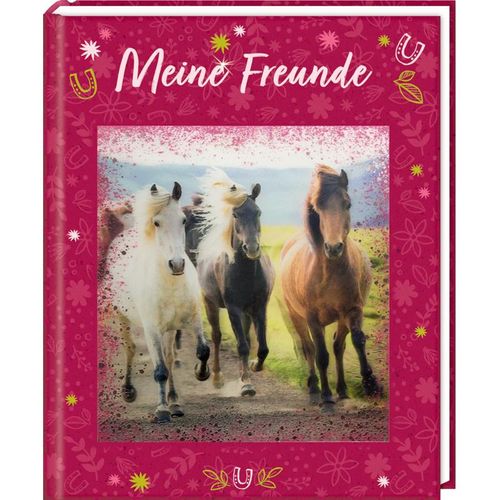 Freundebuch: Meine Freunde – Pferdefreunde