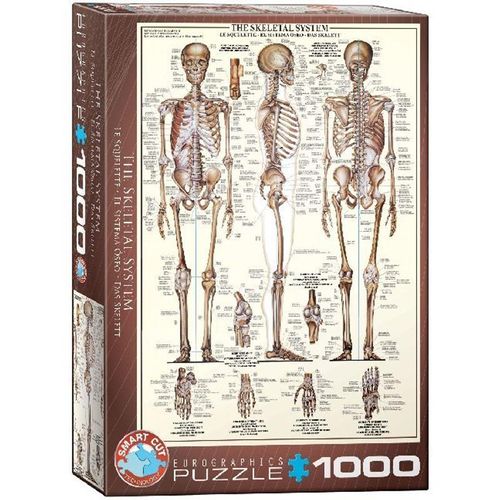 Das Skelett (Puzzle)