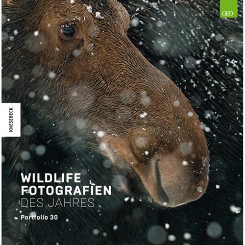 Wildlife Fotografien des Jahres - Portfolio 30, Gebunden
