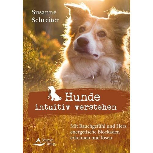 Hunde intuitiv verstehen - Susanne Schreiter, Kartoniert (TB)