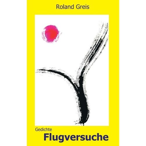 Flugversuche - Roland Greis, Kartoniert (TB)