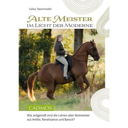 Alte Meister im Licht der Moderne - Julika Tabertshofer, Kartoniert (TB)