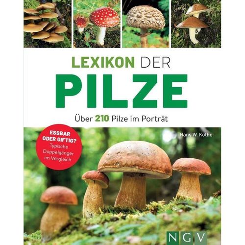 Lexikon der Pilze - Über 210 Pilze im Porträt - Hans W. Kothe, Kartoniert (TB)