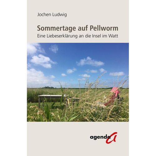 Sommertage auf Pellworm - Jochen Ludwig, Kartoniert (TB)