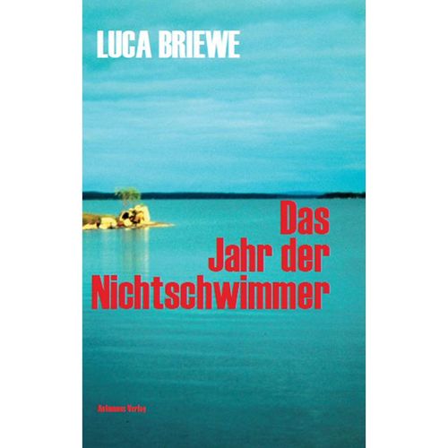 Das Jahr der Nichtschwimmer - Luca Briewe, Gebunden