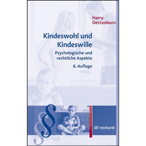 Kindeswohl und Kindeswille - Harry Dettenborn, Kartoniert (TB)