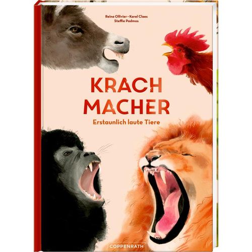 Krachmacher - Reina Ollivier, Karel Claes, Gebunden
