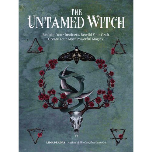 The Untamed Witch - Lidia Pradas, Kartoniert (TB)