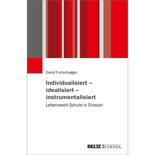 Individualisiert - idealisiert - instrumentalisiert - David Furtschegger, Kartoniert (TB)