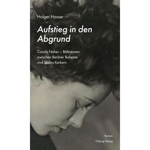Aufstieg in den Abgrund - Holger Haase, Gebunden