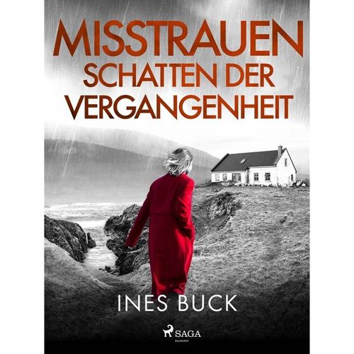 Misstrauen - Schatten der Vergangenheit - Ines Buck, Kartoniert (TB)