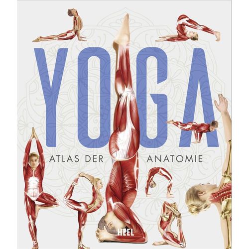 YOGA - Atlas der Anatomie, Gebunden