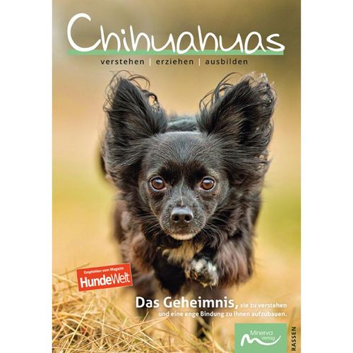 Chihuahuas - Claudia de la Motte, Kartoniert (TB)