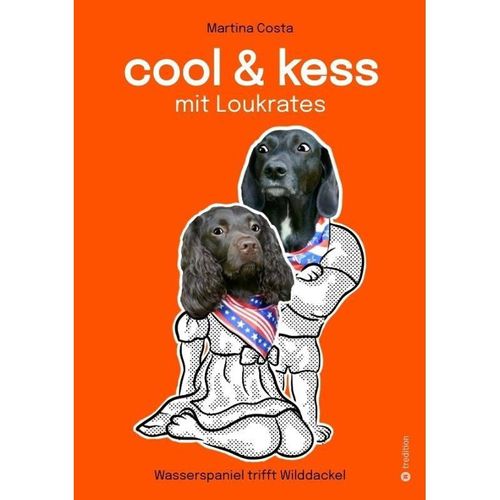 Cool und kess mit Loukrates - Martina Costa, Kartoniert (TB)