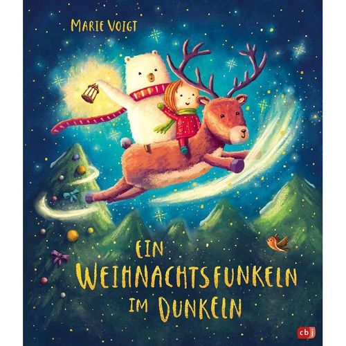 Ein Weihnachtsfunkeln im Dunkeln / Ein Funkeln im Dunkeln Bd.2 - Marie Voigt, Gebunden