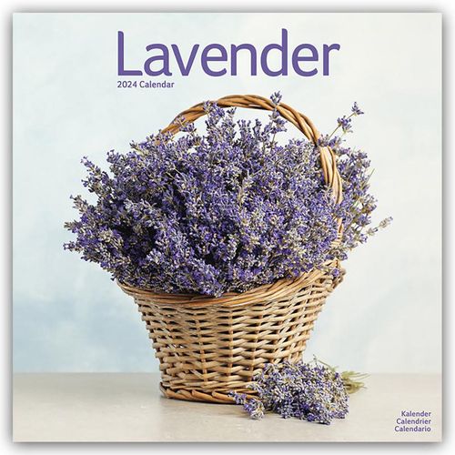 Lavender - Lavendel 2024 - 16-Monatskalender