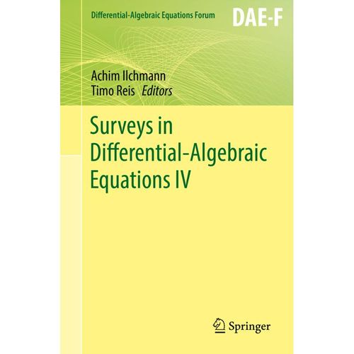 Differential-Algebraic Equations Forum / Surveys in Differential-Algebraic Equations IV, Kartoniert (TB)