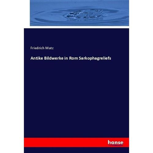 Antike Bildwerke in Rom Sarkophagreliefs - Friedrich Matz, Kartoniert (TB)